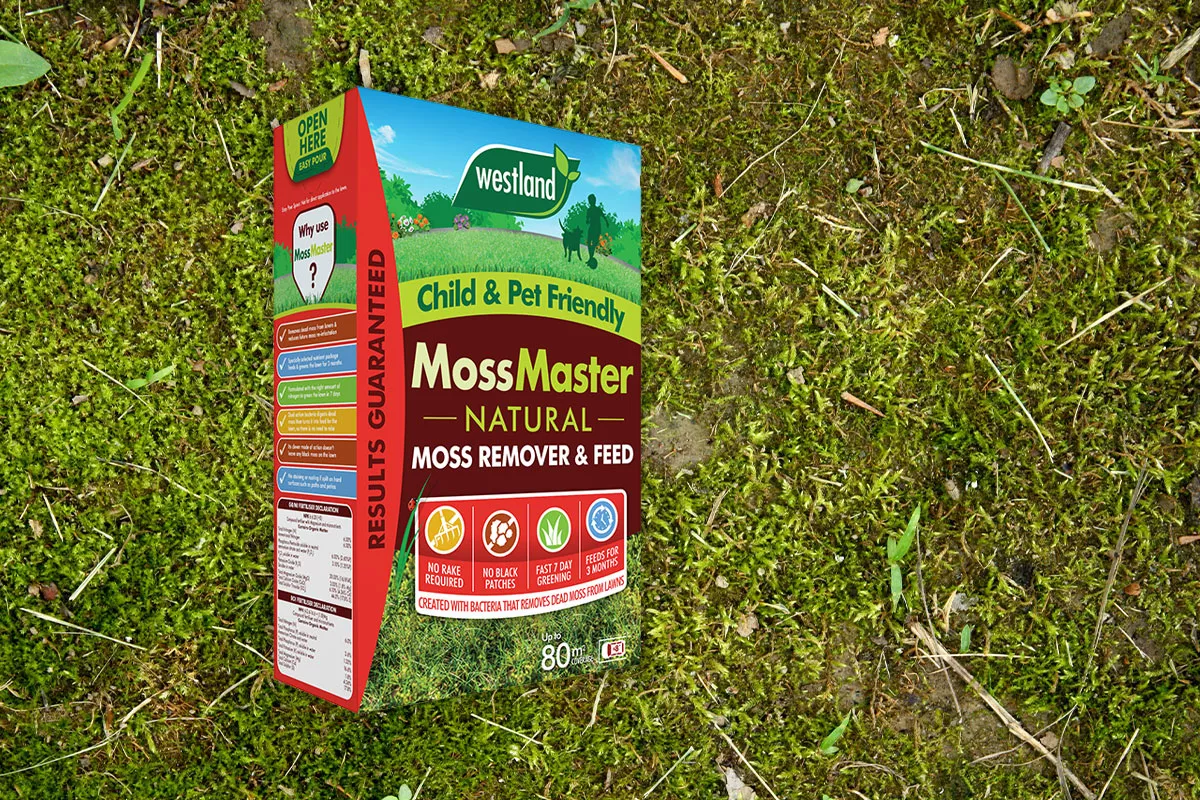 moss master remove lawn moss