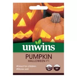 Unwins Pumpkin Halloween F1