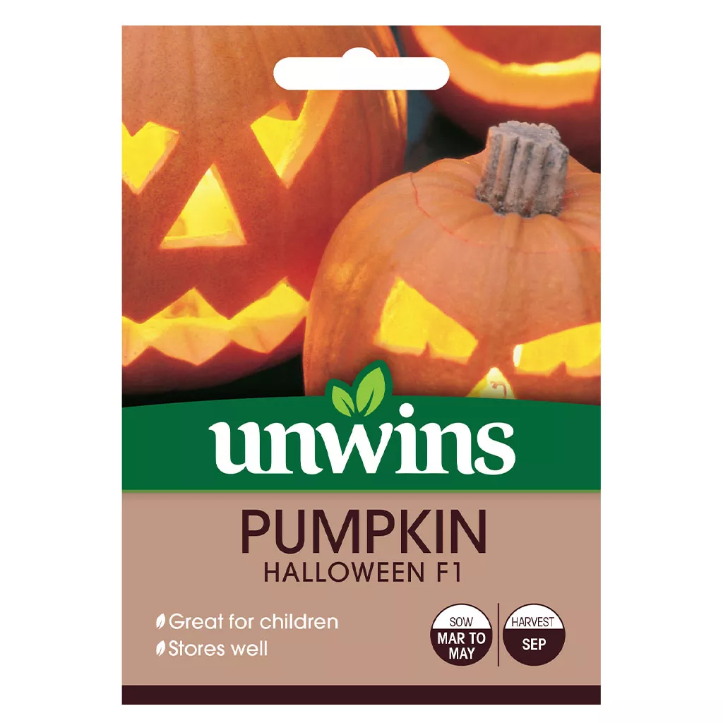 Unwins Pumpkin Halloween F1