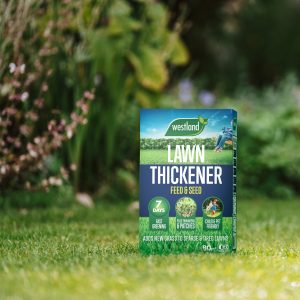 lawn thickener