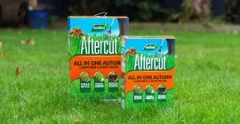 aftercut all in one autumn