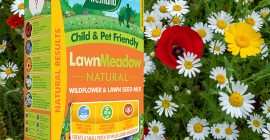 Why use Natural Lawn Meadow Seed Mix?