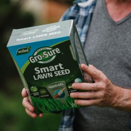 smart lawn seed
