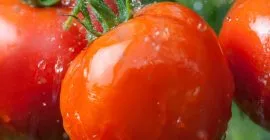 Why are tomatoes good for your health?