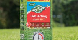 fast acting lawn seed on lawn
