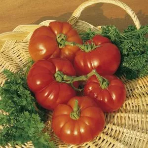 unwins tomato beefstake marmande
