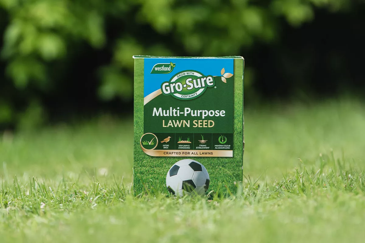 gro-sure multi purpose lawn seed