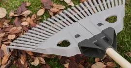 How to easily remove leaves from your garden