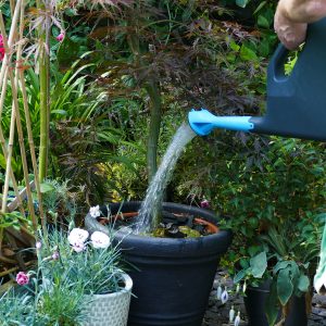 flopro can can watering pour spout