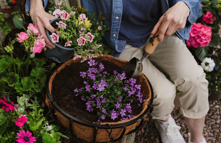 compost for pots