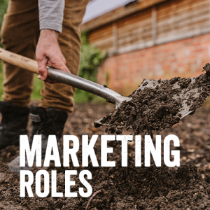 marketing roles