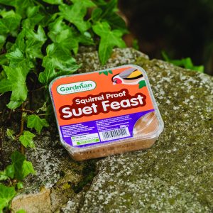 gardman squirrel proof suet feast