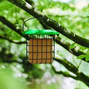 gardman squirrel proof suet feast in feeder