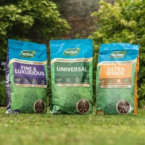 professional lawn seed range on grass
