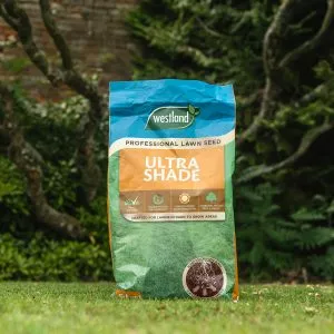 ultra shade professional lawn seed
