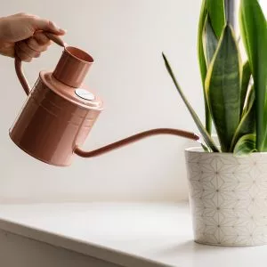 indoor watering can blush pink