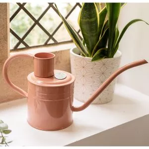 indoor watering can blush pink