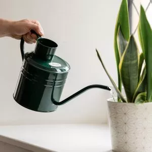 2 litre indoor outdoor watering can forest green