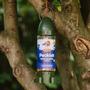 Peckish mealworms dried ready to use filled feeder in packaging in tree