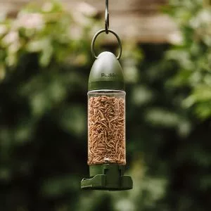 Peckish mealworms dried filled feeder hanging