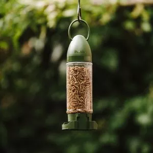 Peckish mealworms dried filled feeder hanging