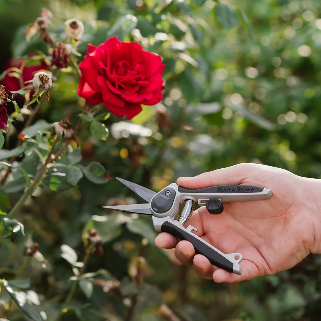 eversharp garden snips in use