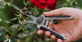 Eversharp™ Garden Snips in use