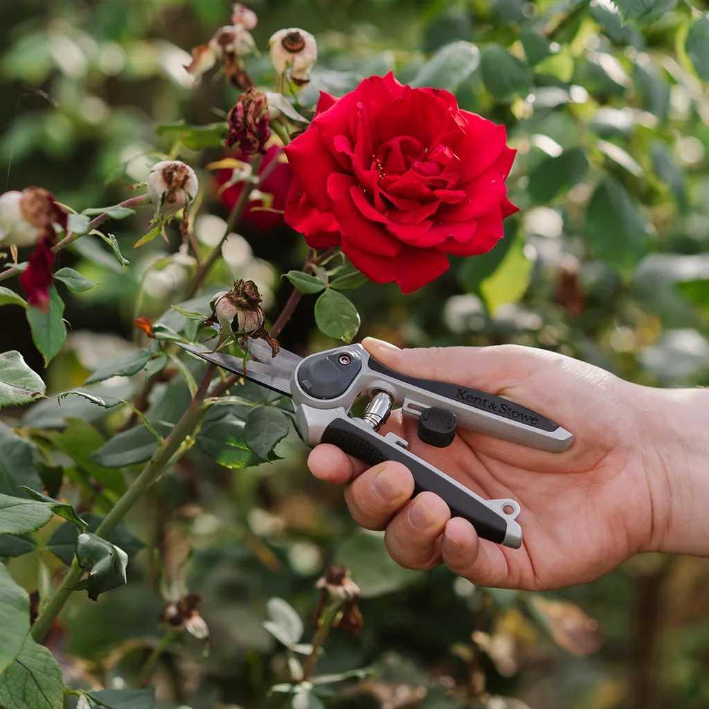 eversharp garden snips in use