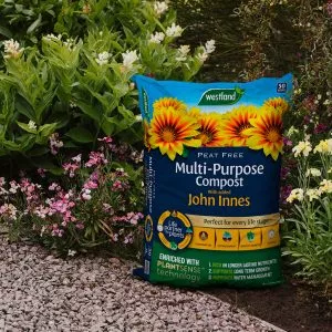 peat free multi-purpose compost with john innes lifestyle