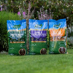 westland professional lawn seed group shot on lawn