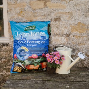 Westland John Innes No.2 Potting On Compost