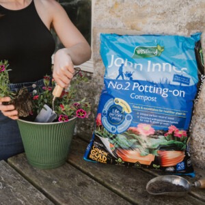 Westland John Innes No.2 Potting On Compost planting up plant