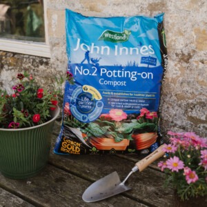 Westland John Innes No.2 Potting On Compost