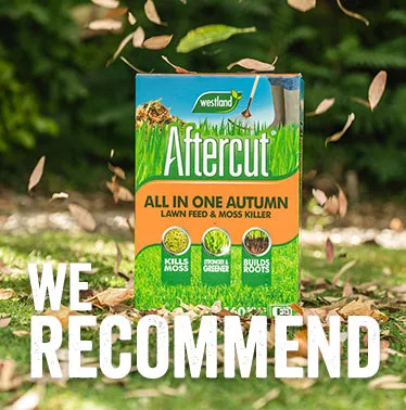 we recommend aftercut autumn all in one