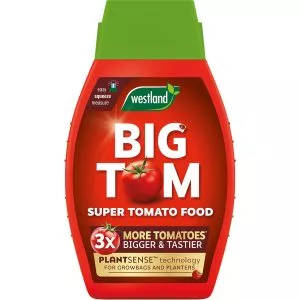 big tom super tomato food front