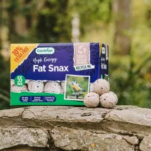 Fat snax box packaging with 3 fat snax balls