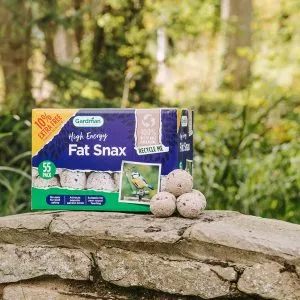Fat snax box packaging with 3 fat snax balls