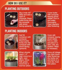 peat free bulb planting potting mix