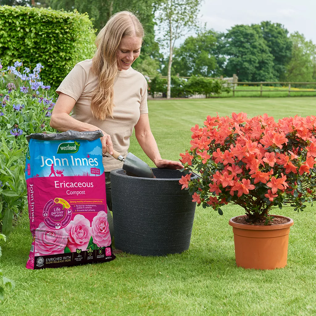 John Innes Ericaceous Compost lifestyle