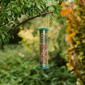 all weather peanut feeder in tree