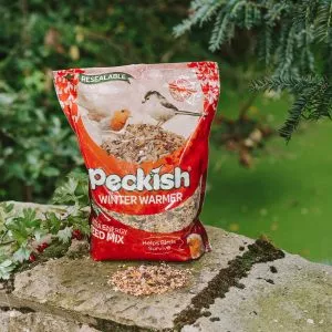 feeding birds winter warmer