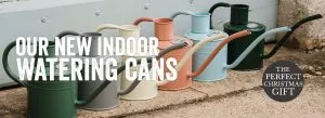 indoor watering cans