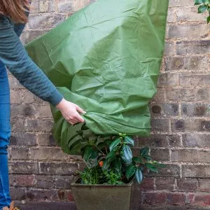 plant jackets winter gardening