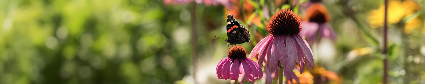 eco-friendly gardening
