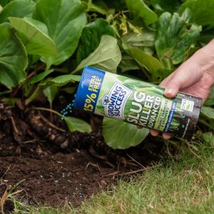 Growing Success Slug Killer Advanced in use