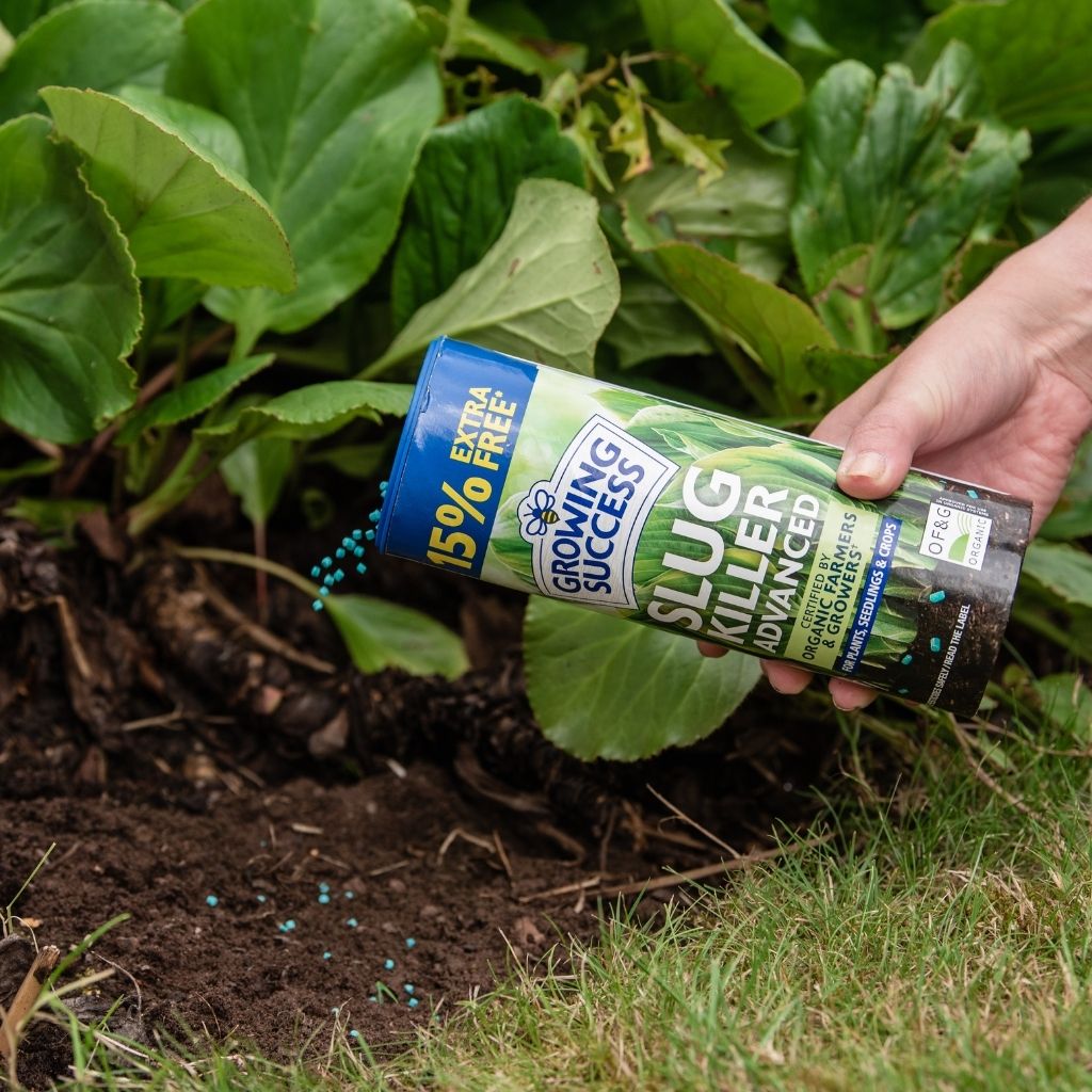 Growing Success Slug Killer Advanced in use may gardening