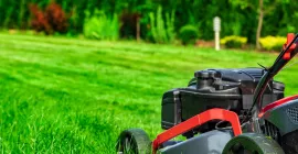 mowing the lawn