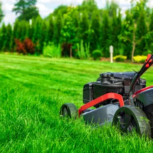 mowing the lawn