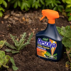 resolva pro xtra tough weedkiller next to weed