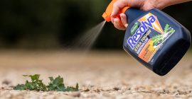How to Kill Tough Weeds